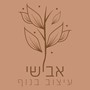 אבישי ארד